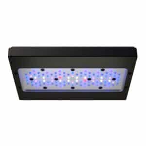 Ecotech Marine – G6 Radion XR30 Blue