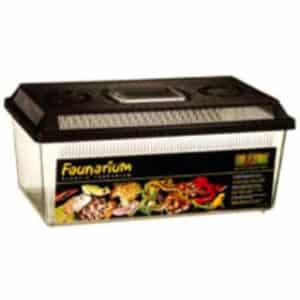EXO TERRA FLAT FAUNARIUM MEDIUM