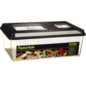 EXO TERRA FLAT FAUNARIUM LARGE