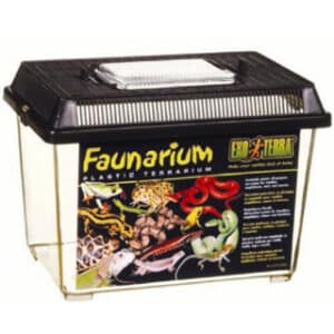 EXO TERRA FAUNARIUM SMALL
