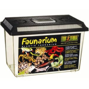 EXO TERRA FAUNARIUM LARGE