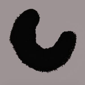 Black Cucumber